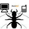 BlackAnt